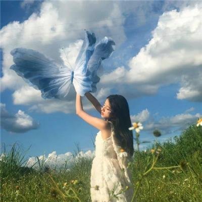 绿之街 在线观看